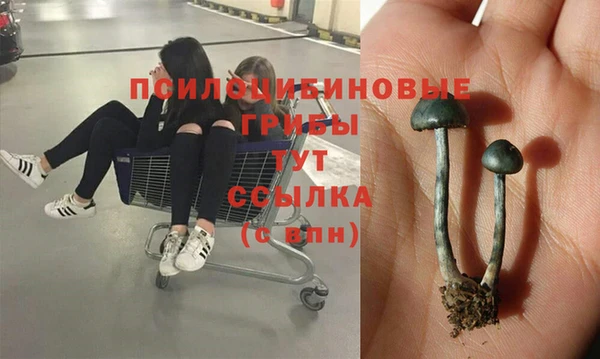 наркотики Каменногорск
