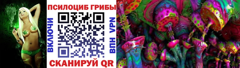 Купить закладки Нязепетровск Галлюциногенные грибы Psilocybe